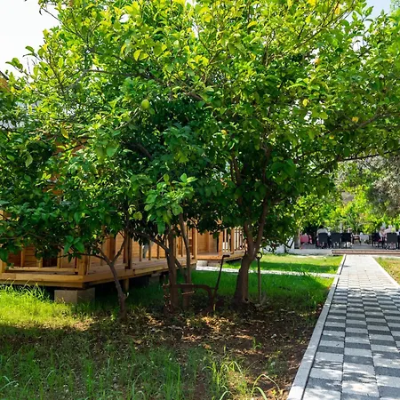 호텔 Tugay 페티예